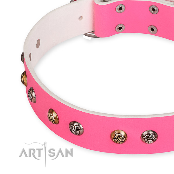 Natural leather dog collar with amazing corrosion proof embellishments