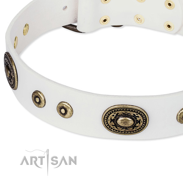 Full grain genuine leather dog collar made of quality material with adornments