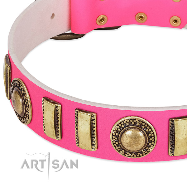 Top notch leather dog collar for your impressive doggie