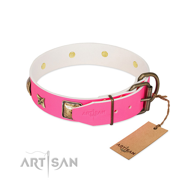 Rust-proof hardware on leather collar for stylish walking your four-legged friend