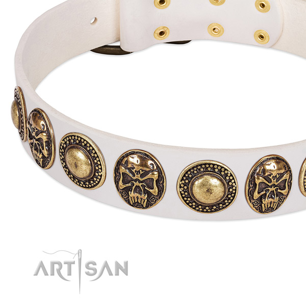 Durable decorations on full grain genuine leather dog collar for your doggie