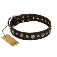 "Gorgeous Shields" FDT Artisan Brown Leather English Bull Terrier Collar with Old Silver-like Circles and Small Camomiles