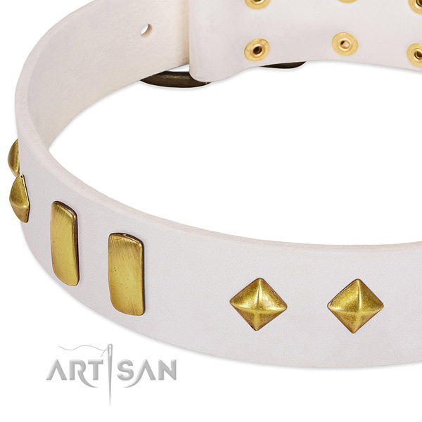 Soft full grain genuine leather dog collar with durable fittings