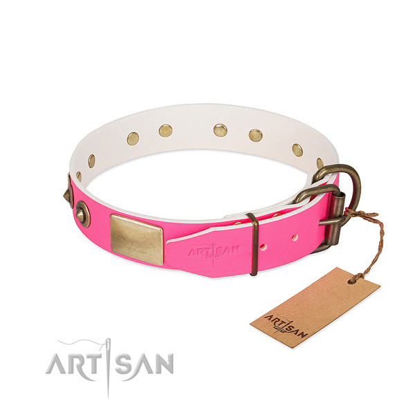 Rust resistant studs on genuine leather dog collar for your canine