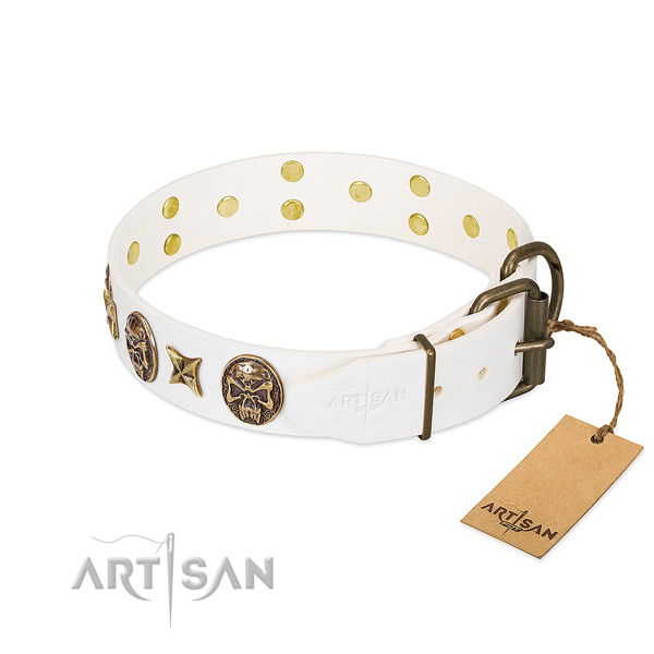 Reliable traditional buckle on full grain natural leather collar for fancy walking your dog