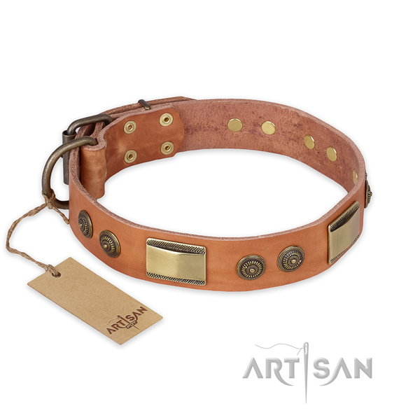 Top notch leather dog collar for daily use