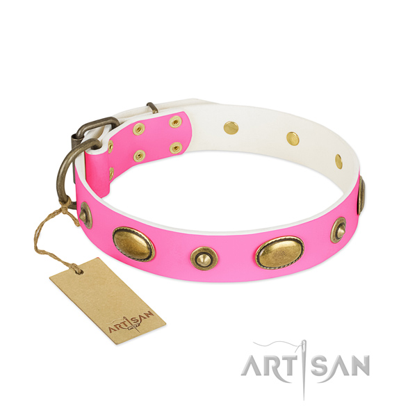 Remarkable full grain leather collar for your dog