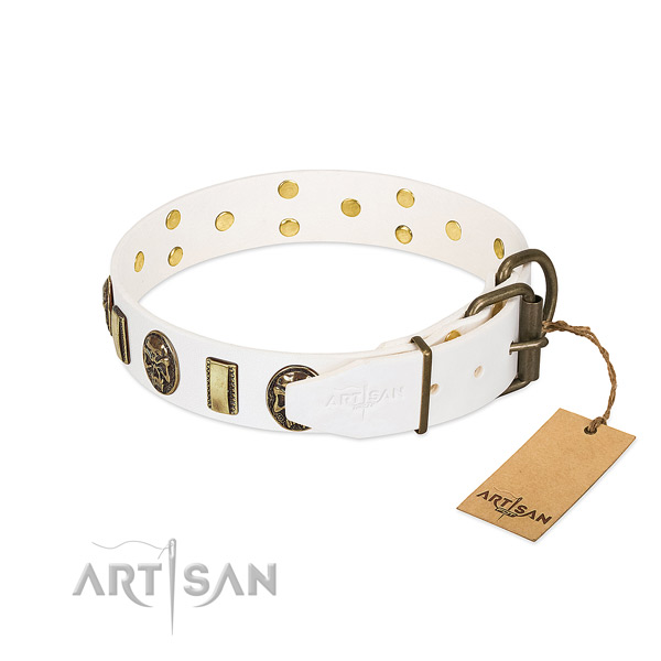 Rust-proof hardware on full grain leather collar for basic training your pet