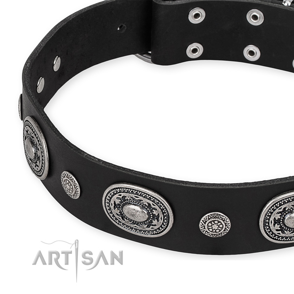 Top rate leather dog collar made for your handsome doggie