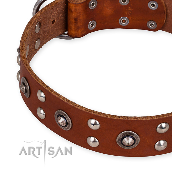 Genuine leather collar with reliable buckle for your lovely doggie