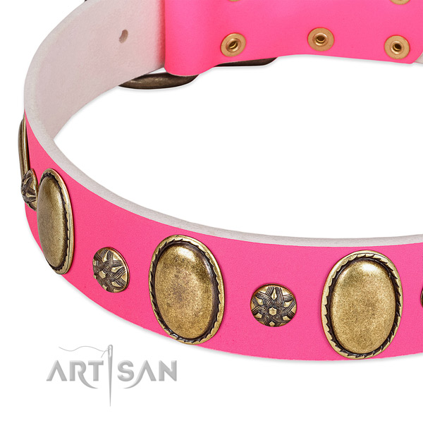 Gentle to touch genuine leather dog collar with corrosion resistant fittings