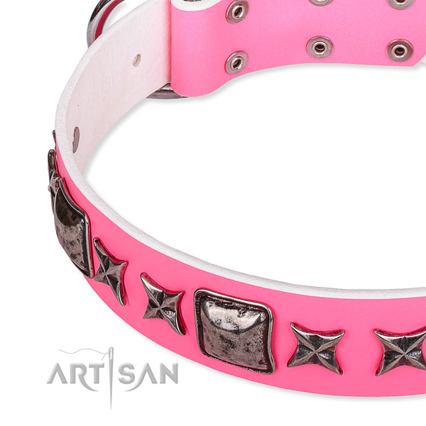 Everyday use adorned dog collar of top notch full grain genuine leather