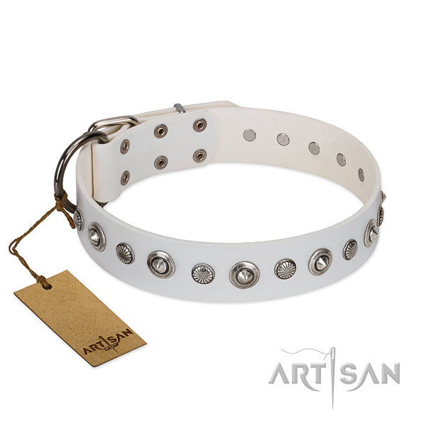 Finest quality natural leather dog collar with impressive studs