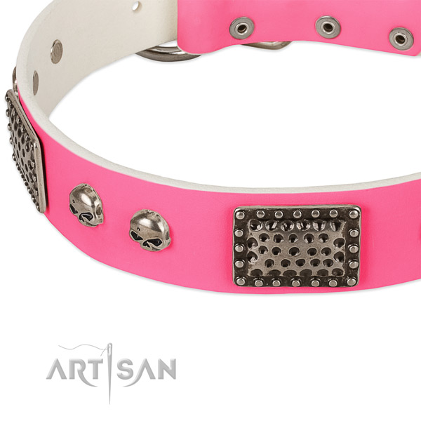 Reliable studs on natural leather dog collar for your four-legged friend