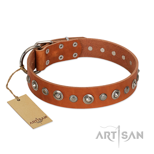 Quality full grain natural leather dog collar with unusual studs