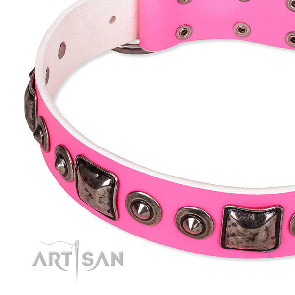 Top rate full grain natural leather dog collar made for your lovely four-legged friend