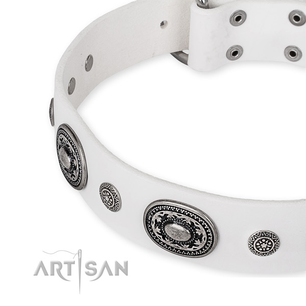 High quality full grain genuine leather dog collar handcrafted for your attractive canine