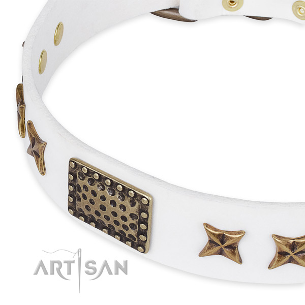 Leather collar with durable hardware for your handsome canine