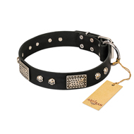 "Pirates Gold" FDT Artisan Black Leather English Bull Terrier Collar with Old Silver Look Plates and Skulls