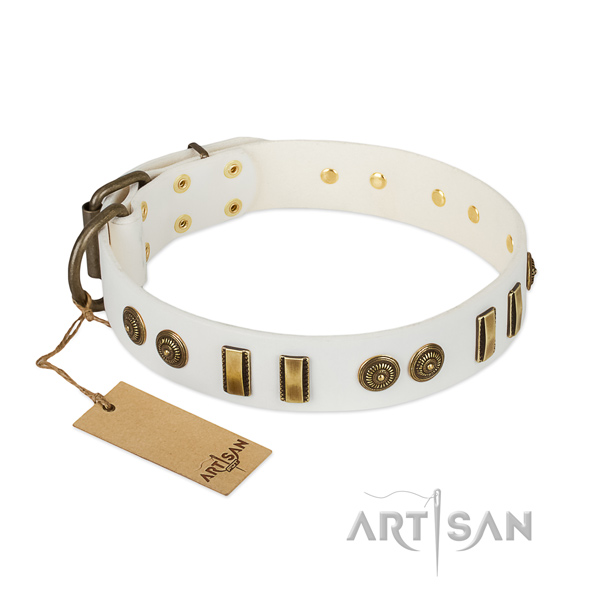 Rust-proof embellishments on natural leather dog collar for your canine