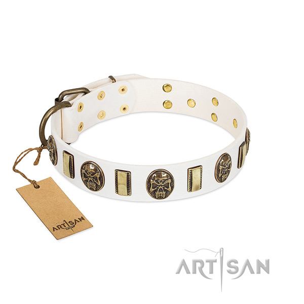 Inimitable full grain leather dog collar for stylish walking