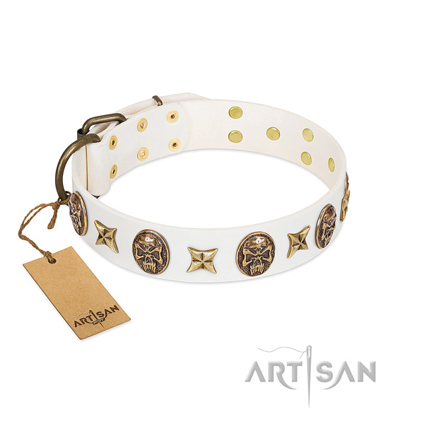 Stylish design full grain natural leather dog collar for everyday walking
