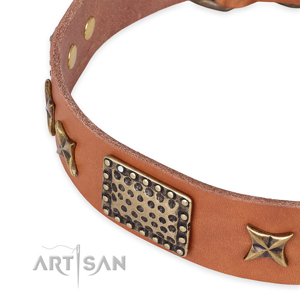 Natural genuine leather collar with durable traditional buckle for your lovely pet