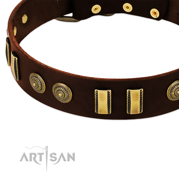 Reliable adornments on full grain natural leather dog collar for your dog