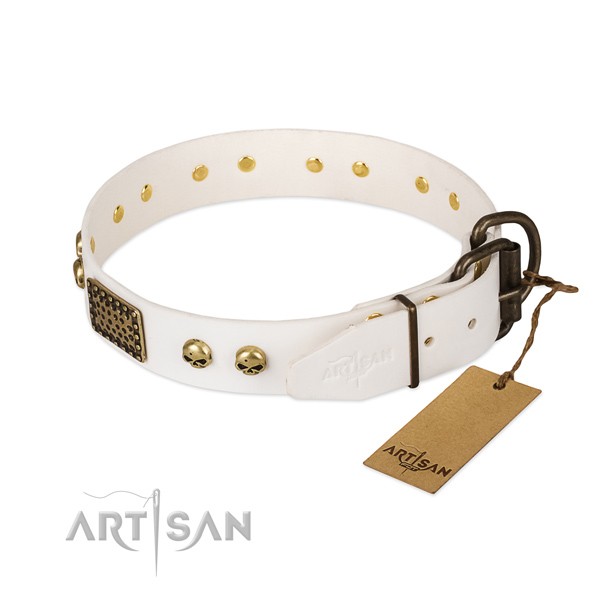 Easy wearing full grain leather dog collar for stylish walking your canine