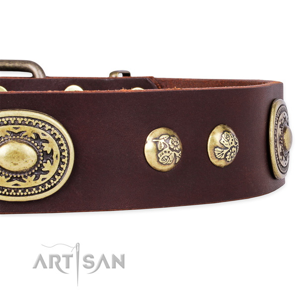 Handmade natural leather collar for your attractive canine