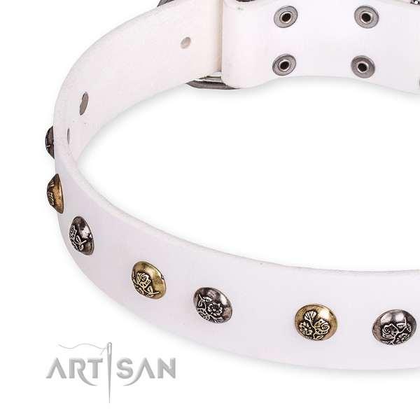 Full grain leather dog collar with exquisite reliable adornments