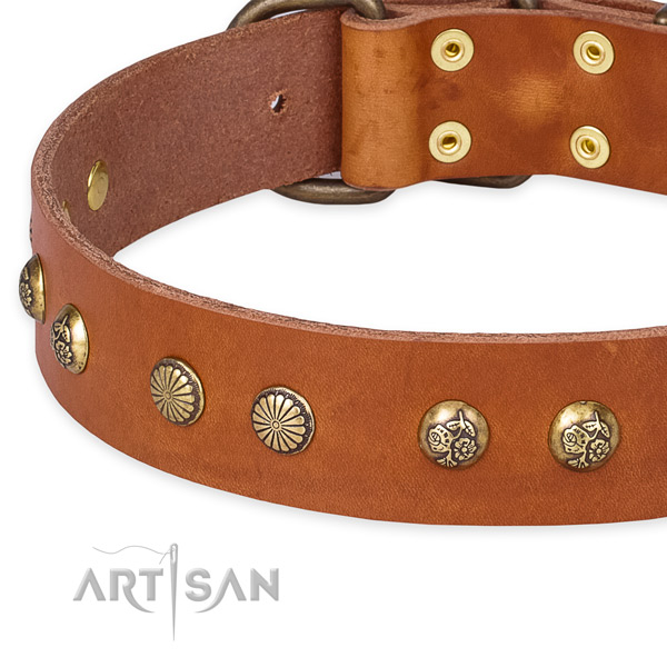 Full grain genuine leather collar with rust resistant D-ring for your attractive canine