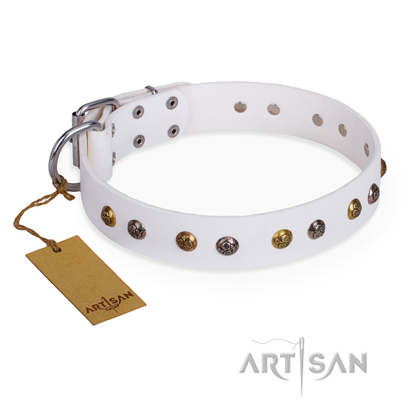 Everyday use perfect fit dog collar with rust resistant traditional buckle
