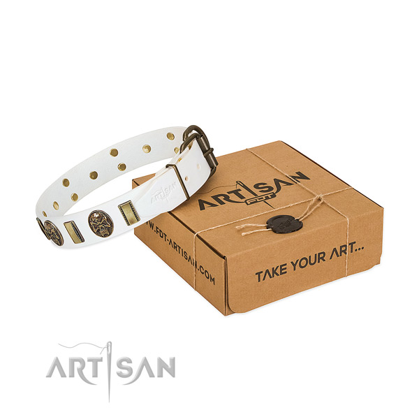 Rust-proof D-ring on full grain genuine leather dog collar for everyday use