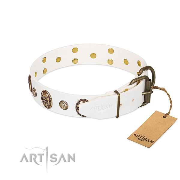 Reliable buckle on leather collar for basic training your canine