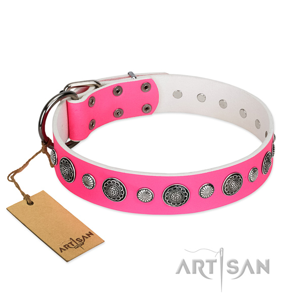 Top notch full grain leather dog collar with corrosion proof fittings