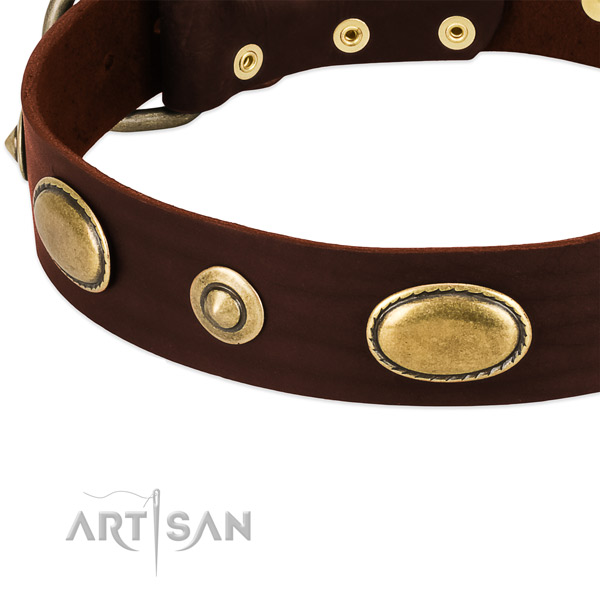 Corrosion proof D-ring on genuine leather dog collar for your pet