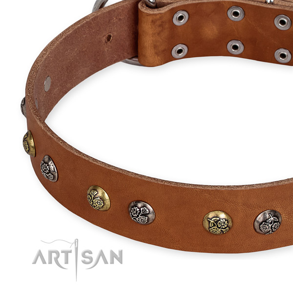 Full grain leather dog collar with top notch reliable embellishments