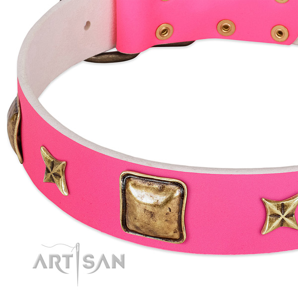Full grain leather dog collar with exceptional decorations