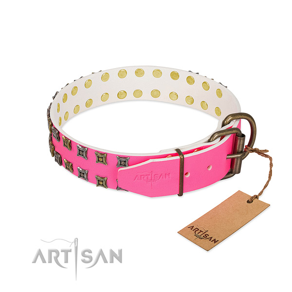 Leather collar with significant studs for your dog