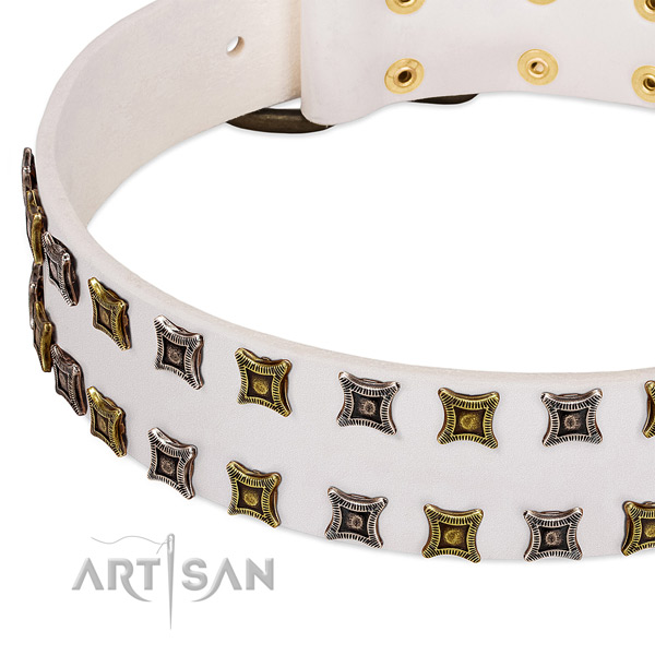 Natural leather dog collar with adornments for your lovely four-legged friend