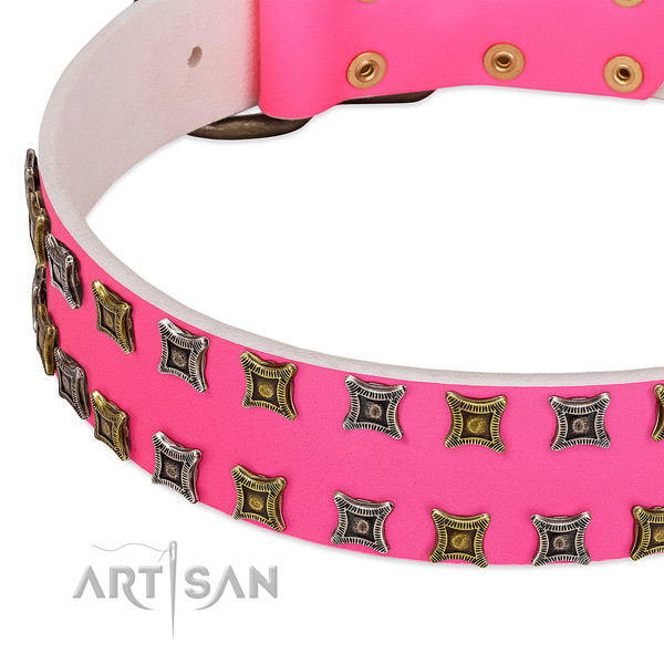 Leather dog collar with designer adornments
