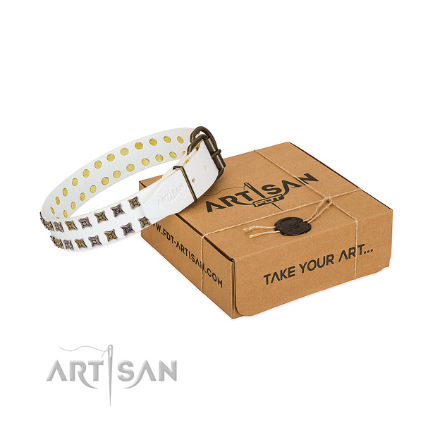 Genuine leather collar with awesome embellishments for your dog