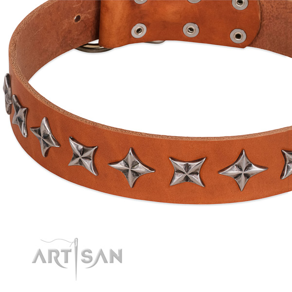 Easy wearing decorated dog collar of high quality full grain leather
