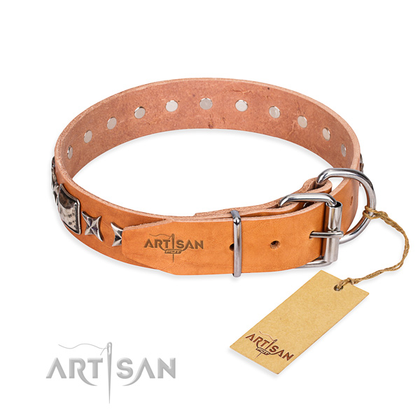 Top notch adorned dog collar of full grain leather