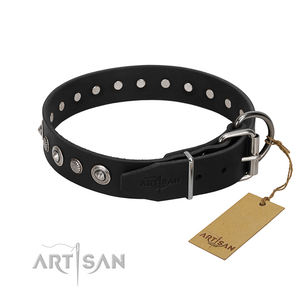 Strong full grain leather dog collar with impressive studs