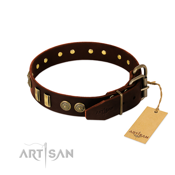 Reliable fittings on leather dog collar for your canine