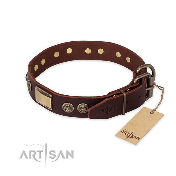 Strong traditional buckle on leather collar for daily walking your dog