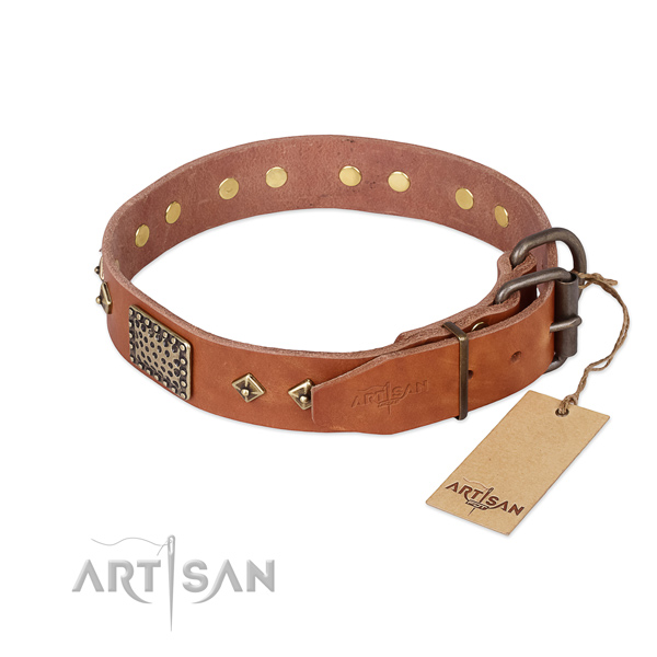 Full grain natural leather dog collar with corrosion resistant traditional buckle and embellishments