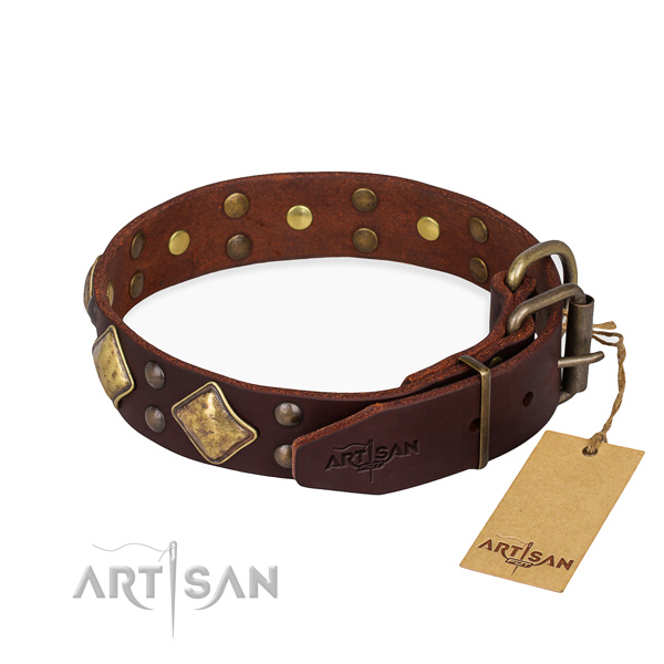 Full grain leather dog collar with extraordinary corrosion proof studs